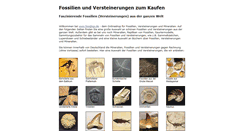 Desktop Screenshot of fossilienmarkt.de