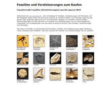Tablet Screenshot of fossilienmarkt.de